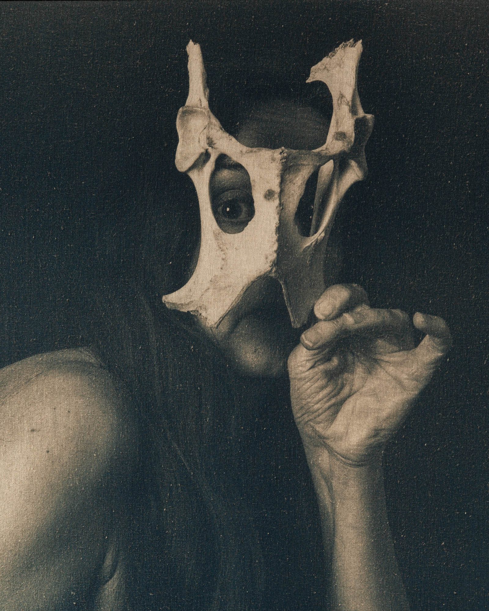 Elissa-Jane-Diver-Detail-from-Deer-Stalking-2022-Toned-Cyanotype-on-linenRESIZED-jpeg.jpg#asset:1675