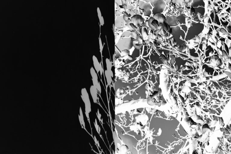 28011a49-62ac-499a-8a54-d935fb88f5f3