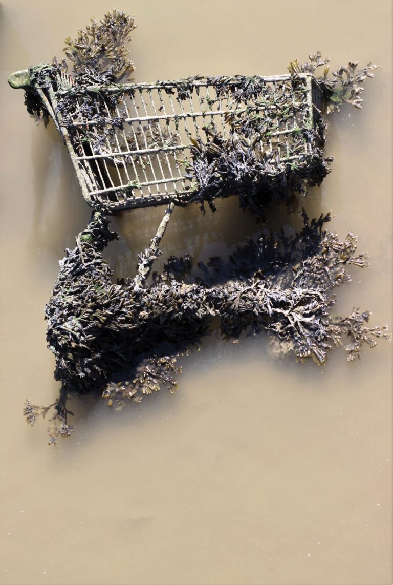Sinking society