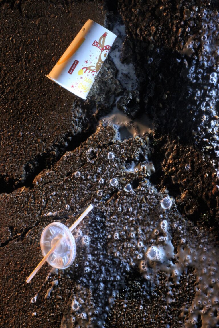 BERTIE_TAYLOR_SPACE JUNK