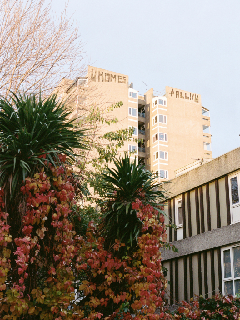 Apartment buildings marked “HOMES” and “FAMILY” rise behind lush palms and red foliage.