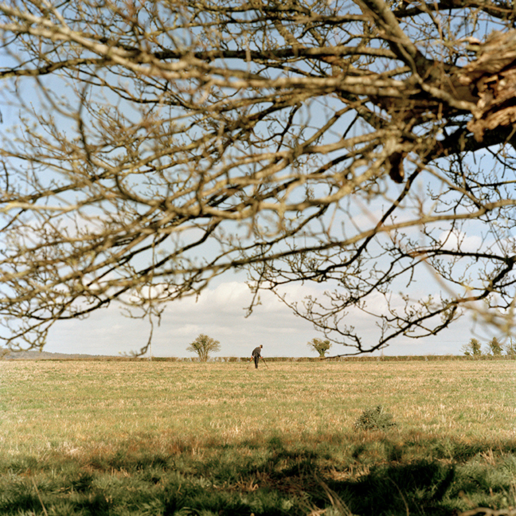 A person metal detecting in a vast, grassy field under a clear blue sky, framed by the intricate, leafless branches of a large tree in the foreground.