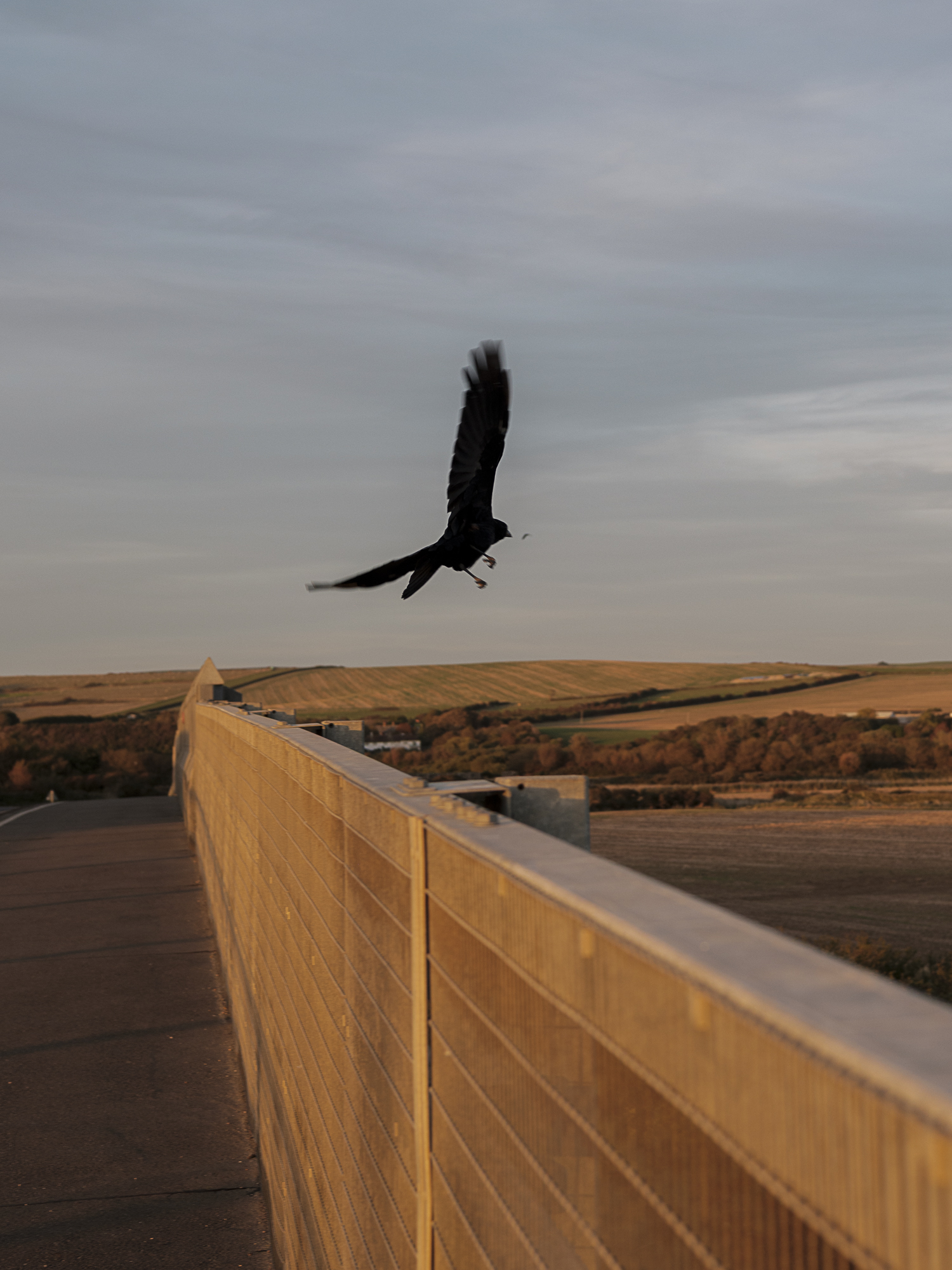 Flyover