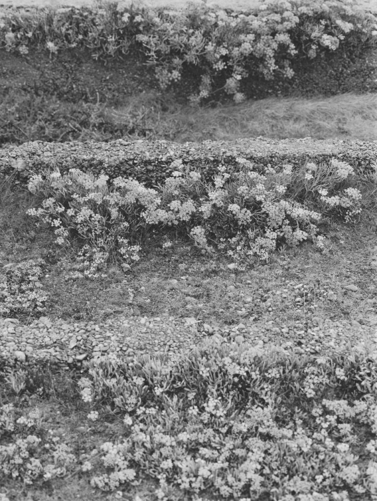 The Lost Village of Tide Mills