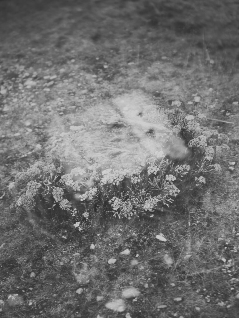 The Lost Village of Tide Mills